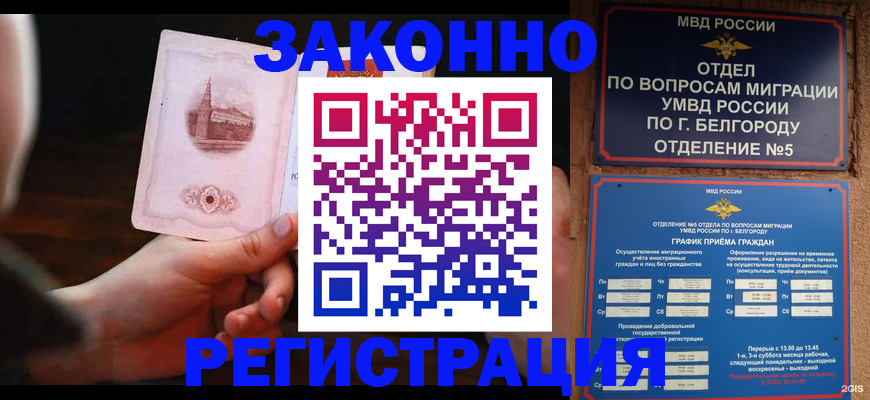 прописка 2025 в Болотном